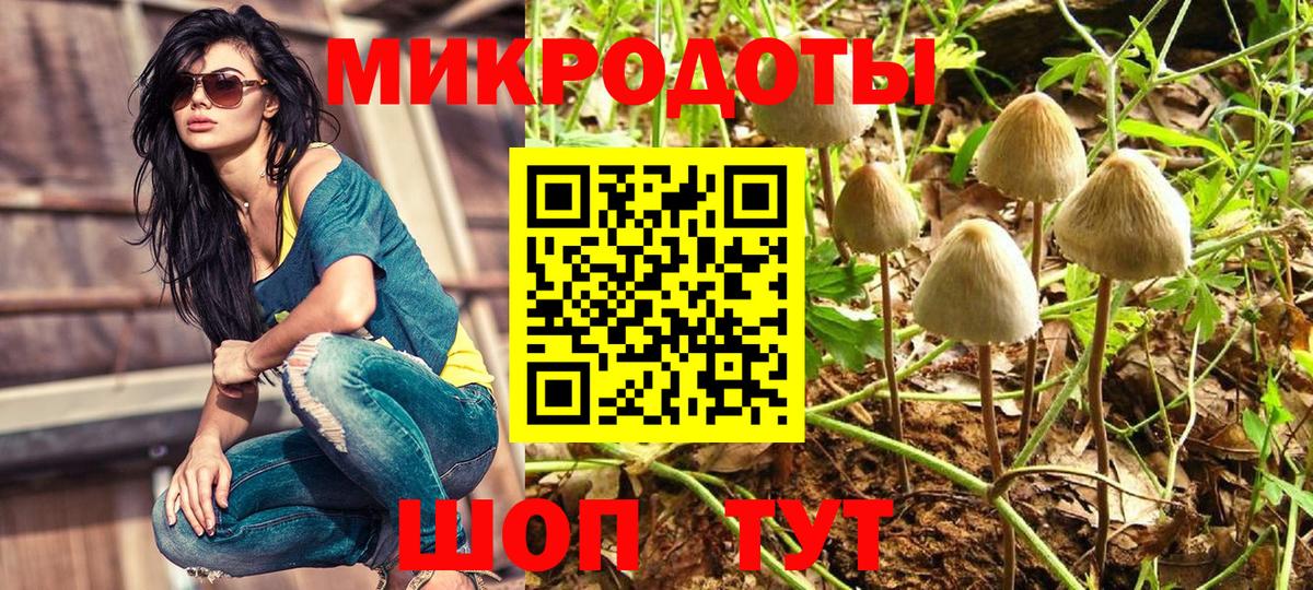 Псилоцибиновые грибы мицелий  наркошоп  Рузаевка  Вход с VPN 